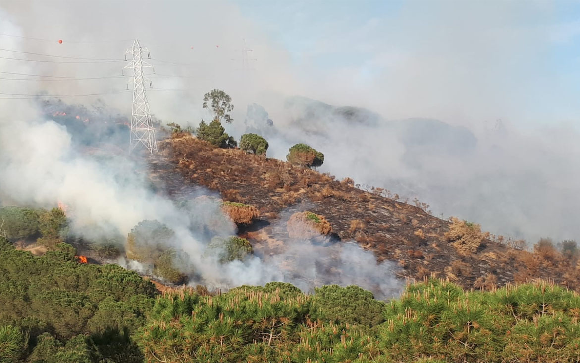 Collserola demana extremar precaucions pel risc d'incendi